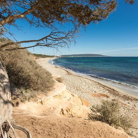 Residence Can Confort Formentera San Francisco Javier Εξωτερικό φωτογραφία